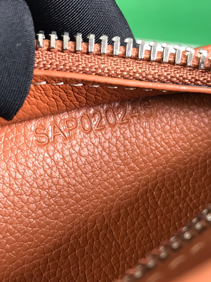 Goyard 고야드 Hirondelle 백 9