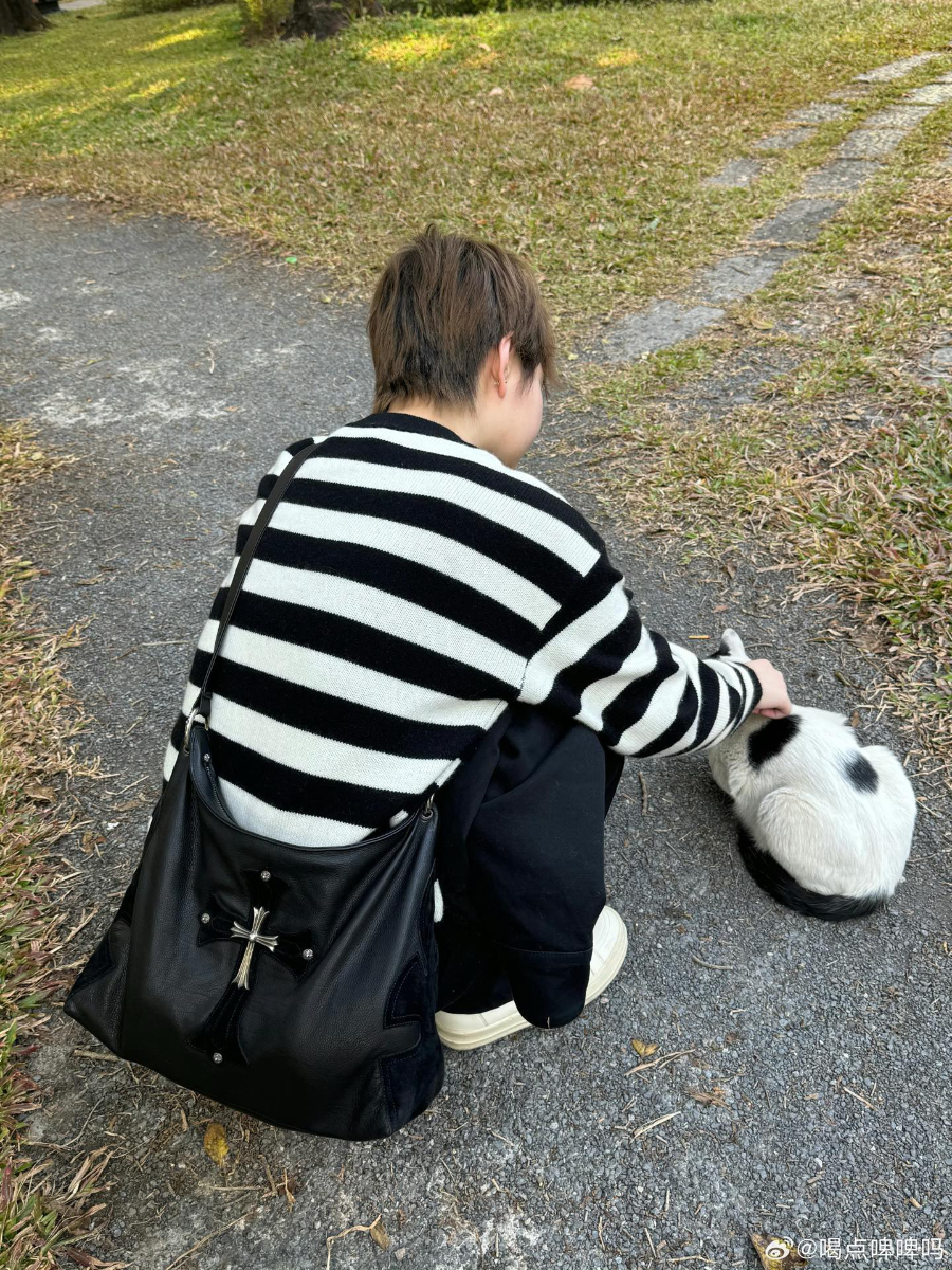 Chrome Hearts Little Lyon Shoulder Bag 크롬하츠 리틀 라이온 숄더백 1