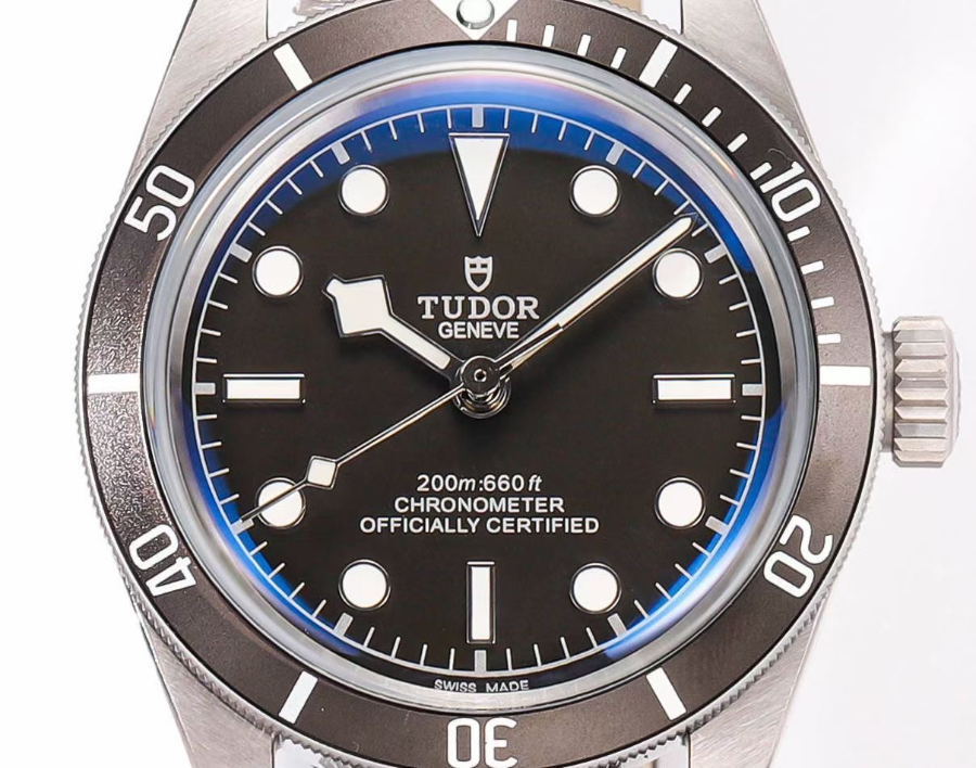 Tudor Black Bay 39 Blue Chapter Ring 튜더 블랙 베이 39 블루 챕터링 2