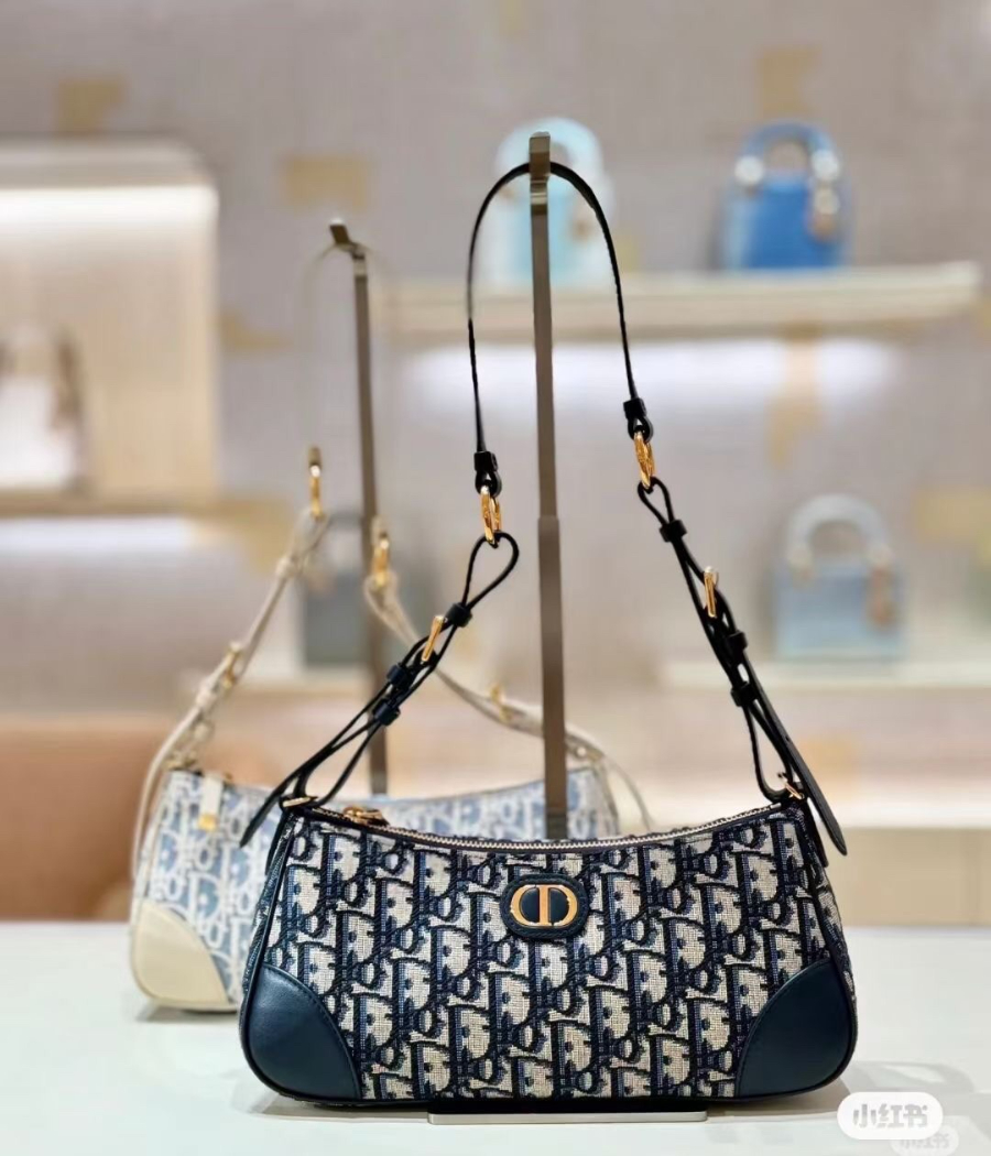 Dior 디올 Wanderlust 오블리크 미니 숄더 크로스백 블루 2398 26cm 1