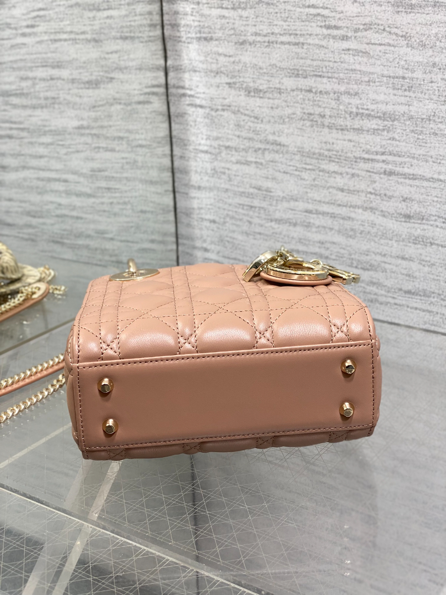 Lady Dior 레이디 디올 미니 퀼팅 램스킨 파이톤 핸들 참 장식 백 17cm 브라운 6