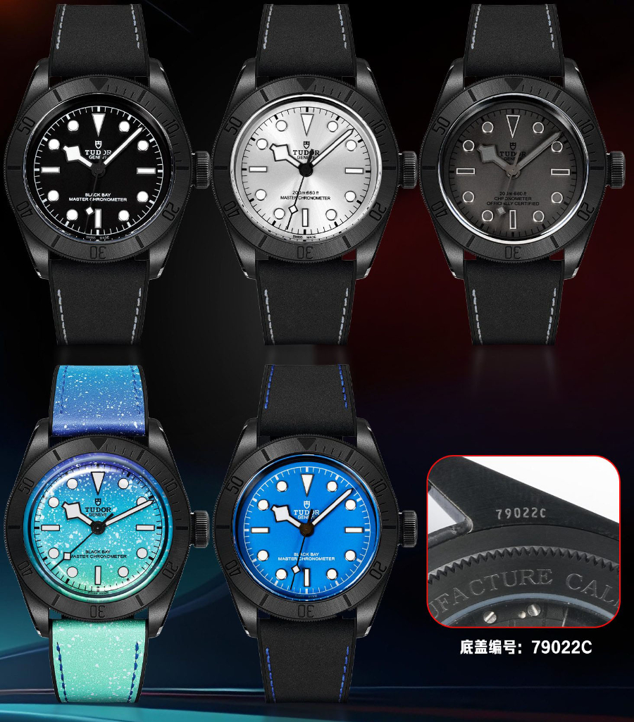 TUDOR Black Bay Black Warrior Open Caseback 튜더 블랙베이 블랙 워리어 오픈백 오토메틱 다크그레이다이얼 1