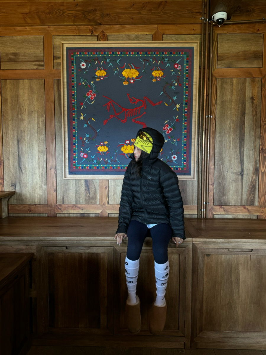 ARC’TERYX Cerium 850FP Hooded Down Jacket 아크테릭스 세륨 850FP 후드 다운 재킷 블 8