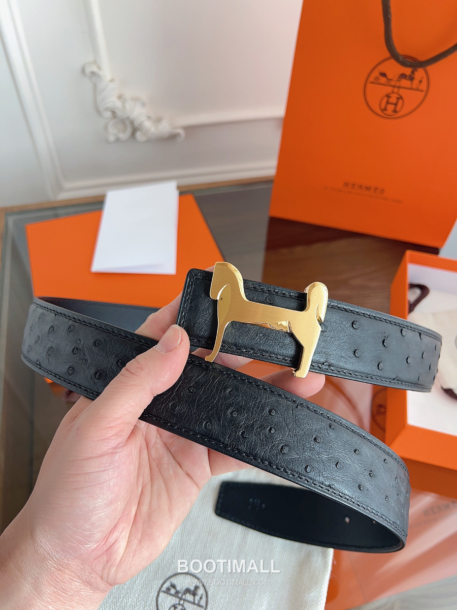 Hermès H Buckle Ostrich Leather Belt 에르메스 H 버클 오스트리치 레더 벨트 블랙 금장 3.8cm 7