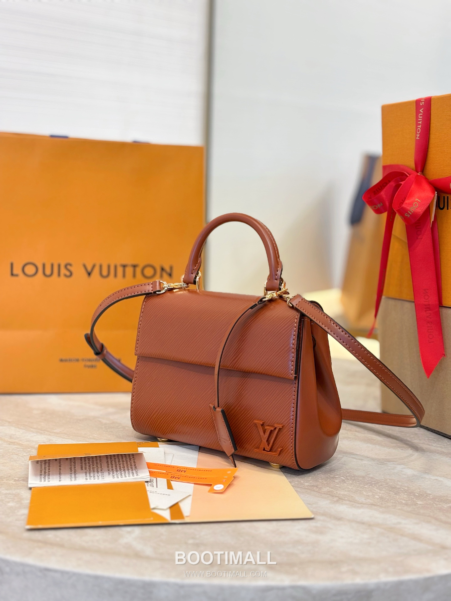 Louis Vuitton 루이비통 Cluny Mini 클루니 미니 Epi Leather 에피 레더 M25881 20cm 1