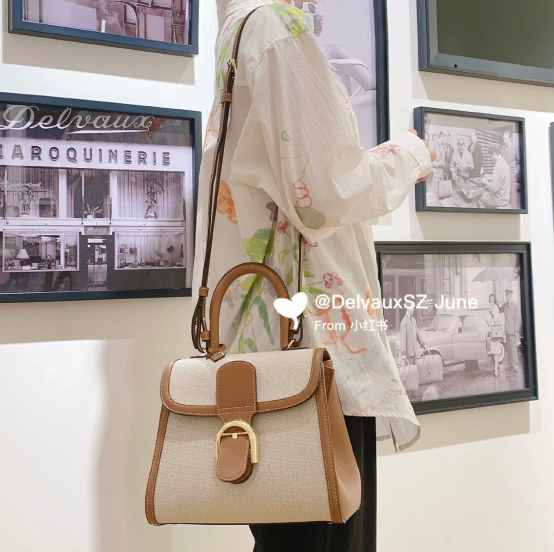 Delvaux 델보 브리앙 PM 캔버스 토트백 2