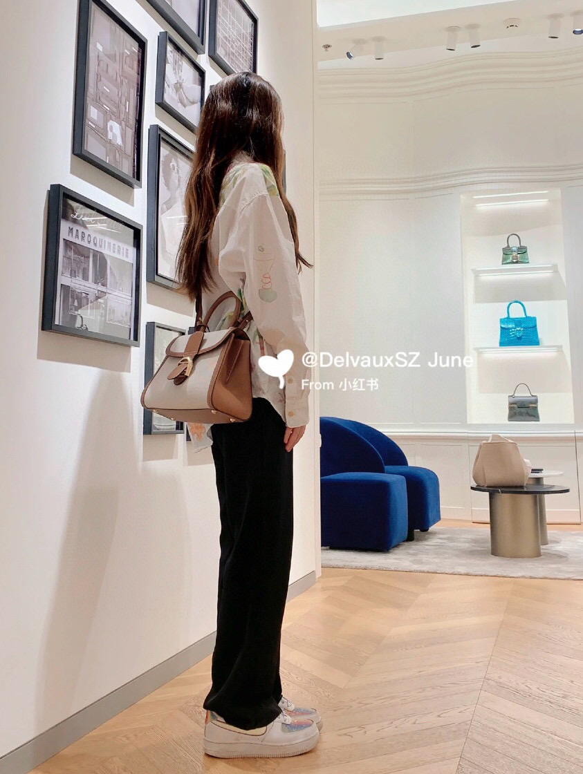 Delvaux 델보 브리앙 PM 캔버스 토트백 4