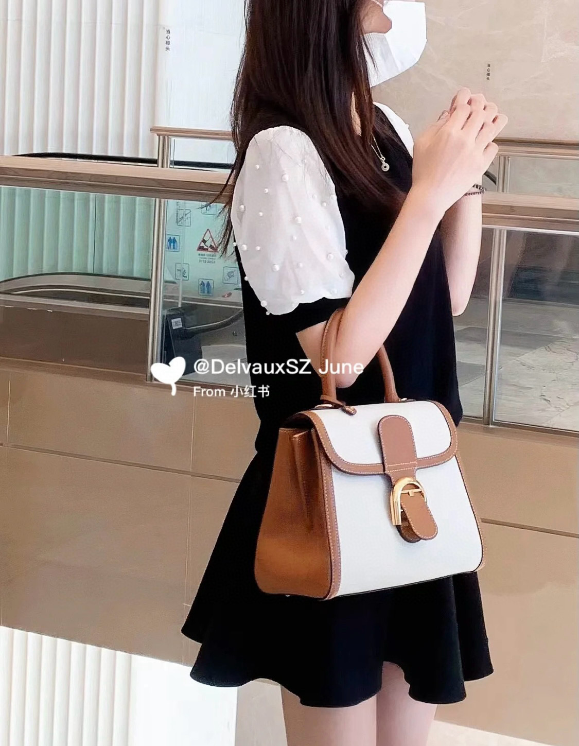 Delvaux 델보 브리앙 PM 캔버스 토트백 7