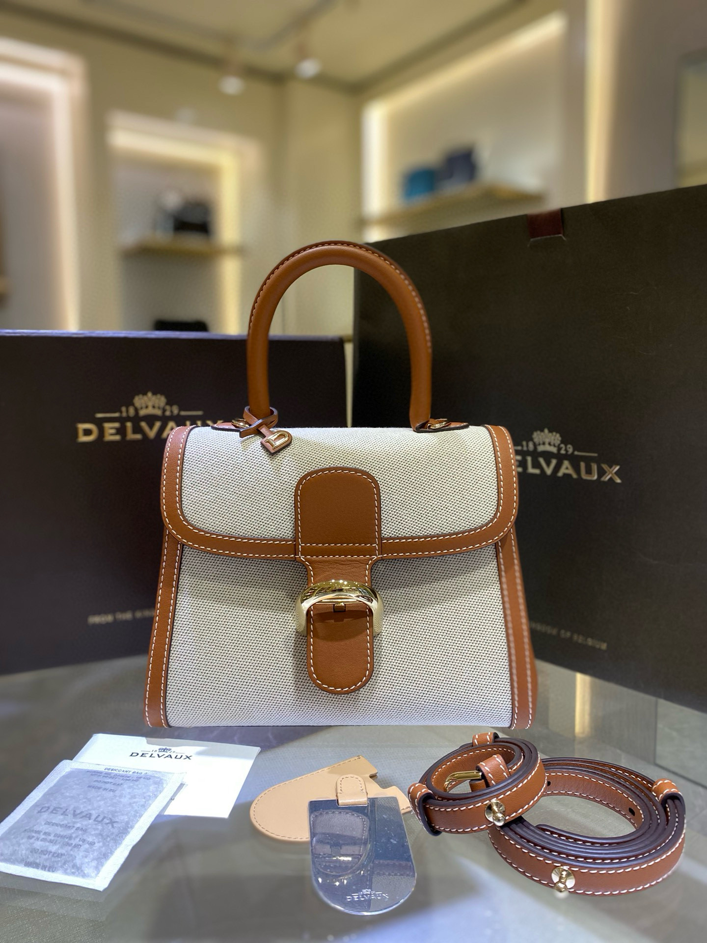 Delvaux 델보 브리앙 PM 캔버스 토트백 9