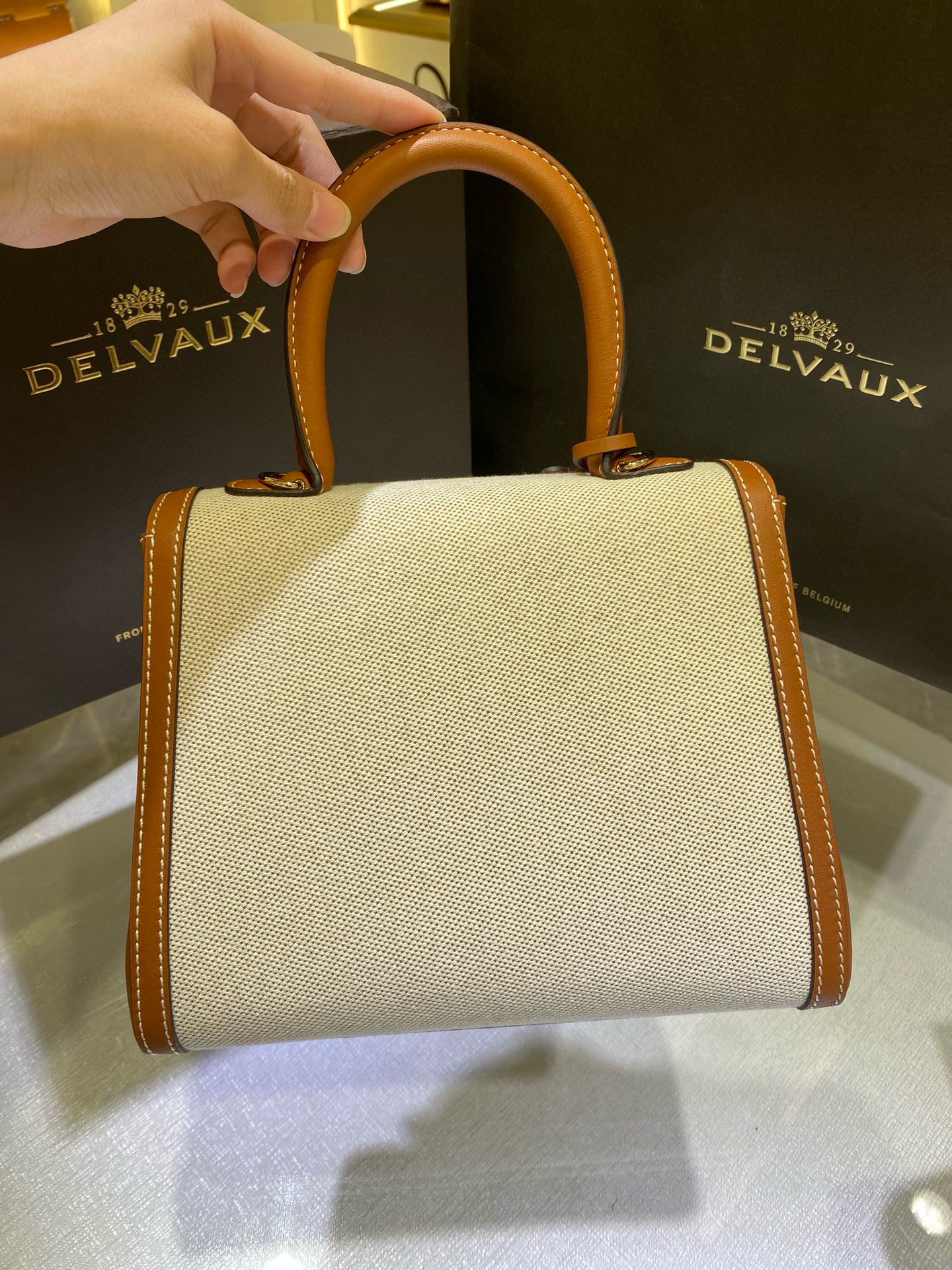 Delvaux 델보 브리앙 PM 캔버스 토트백 11