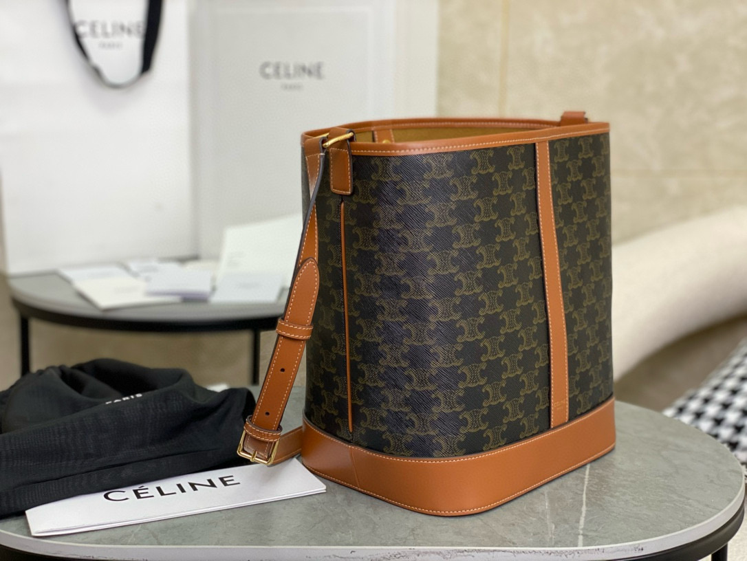 Celine 셀린느 트리옴프 중형 버킷백 3