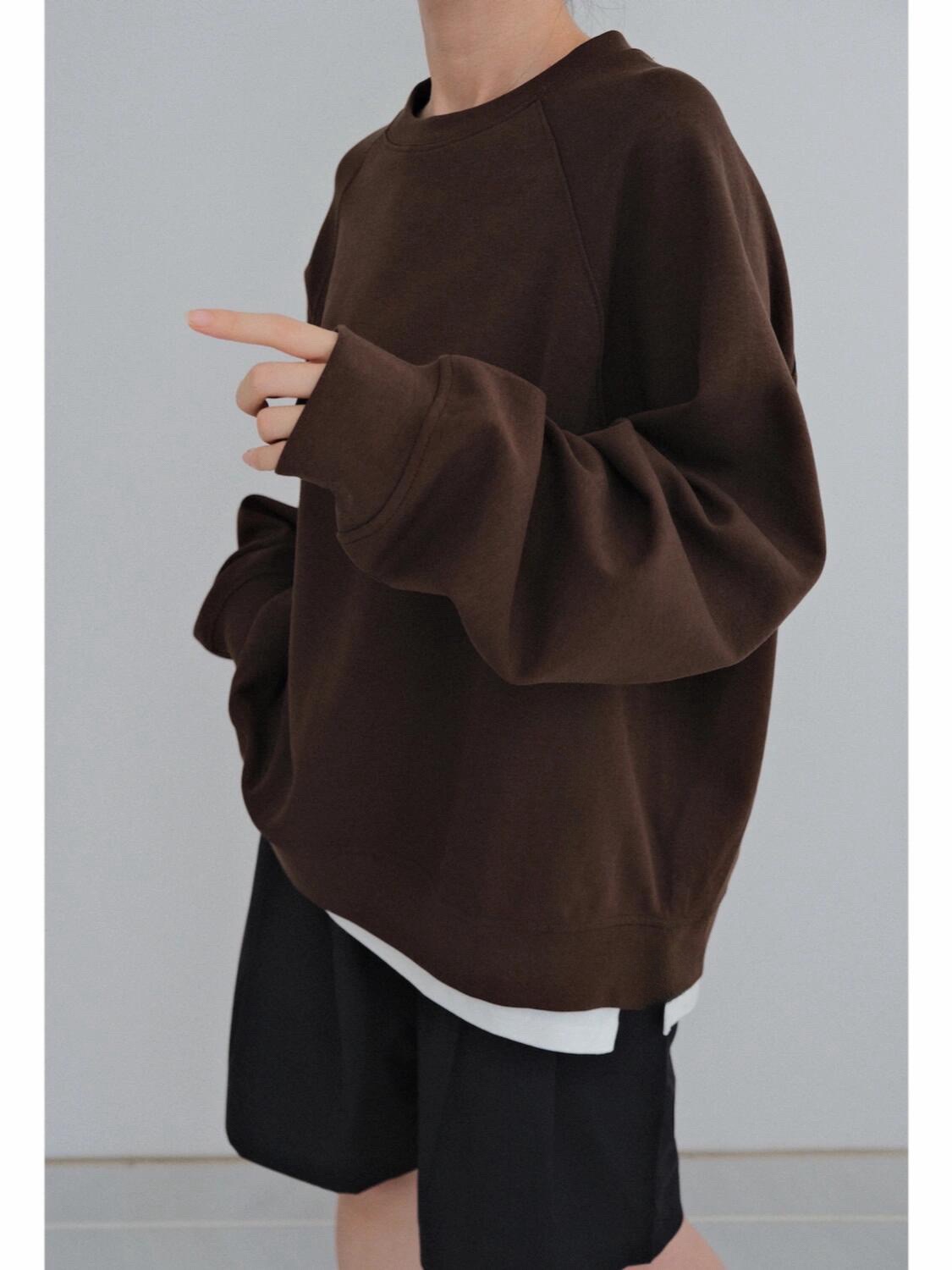 PRADA 프라다 2025FW 브라운 삼각 로고 스웨트셔츠 3