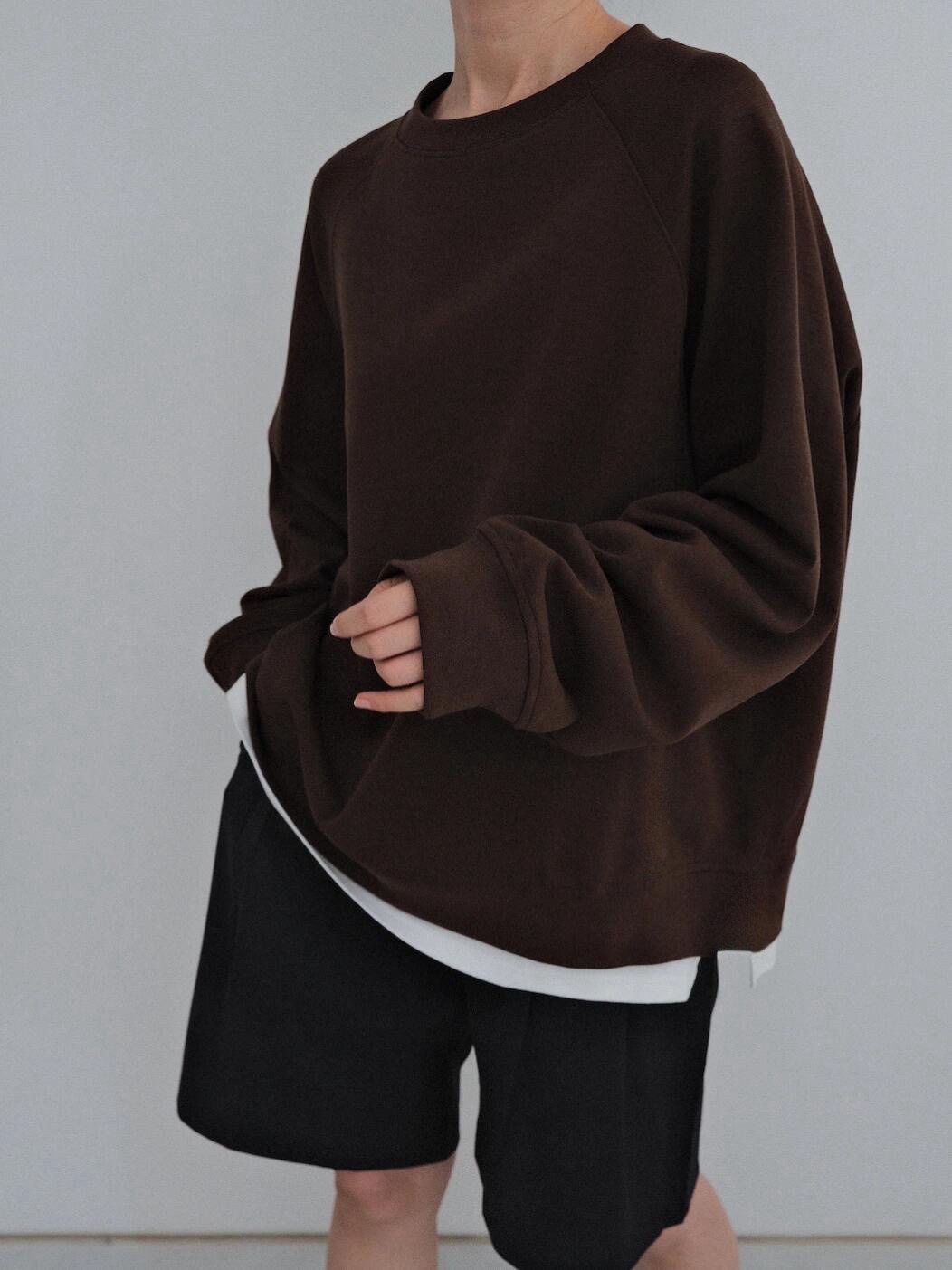 PRADA 프라다 2025FW 브라운 삼각 로고 스웨트셔츠 4