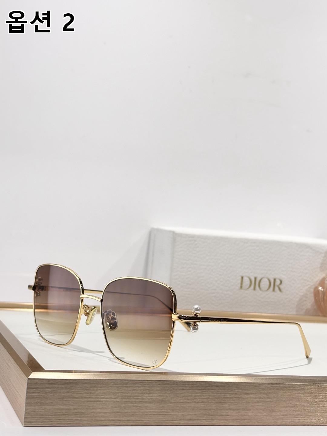 DIOR 디올 트리발 레이스 메탈 선글라스 2