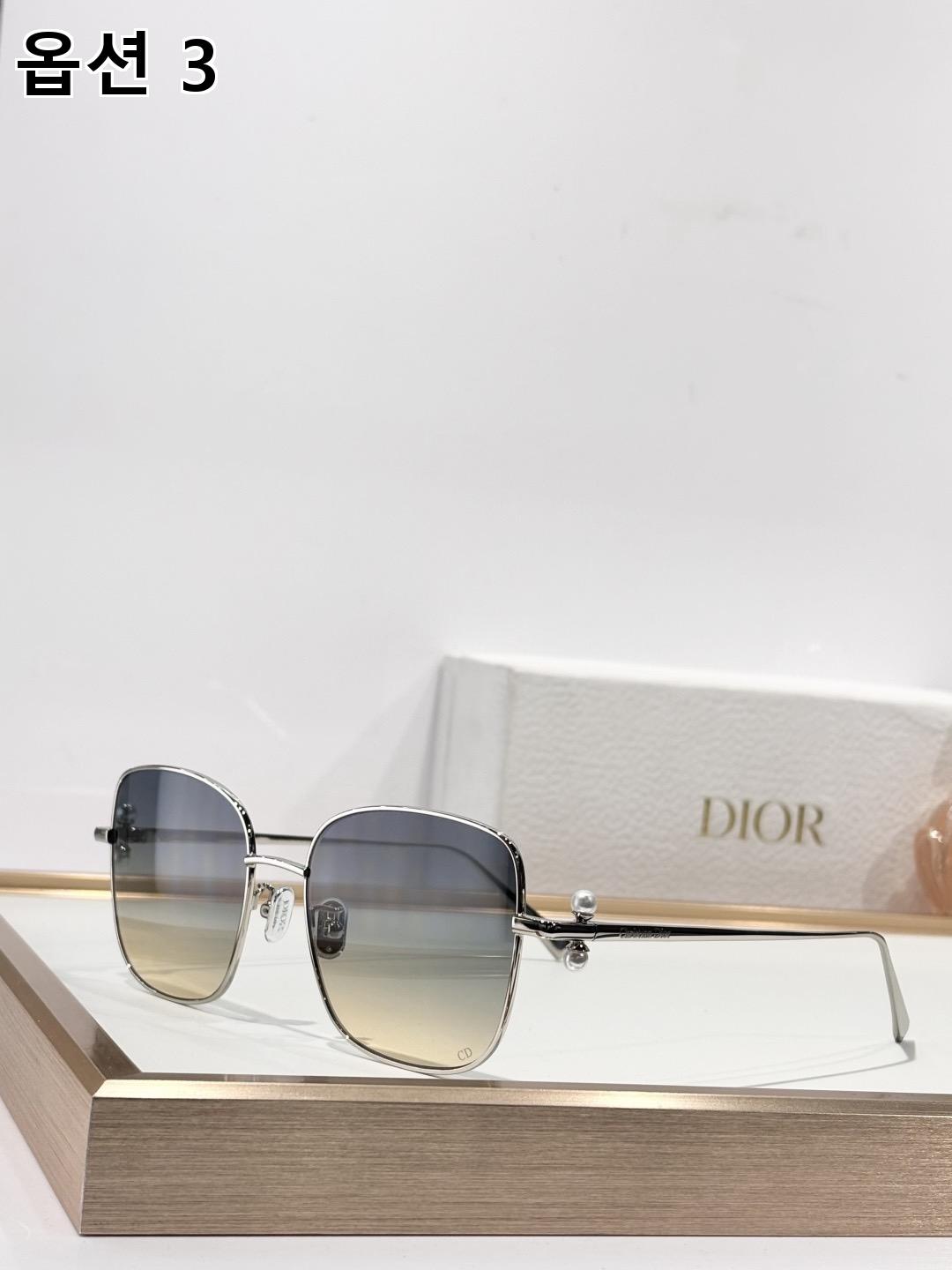 DIOR 디올 트리발 레이스 메탈 선글라스 3