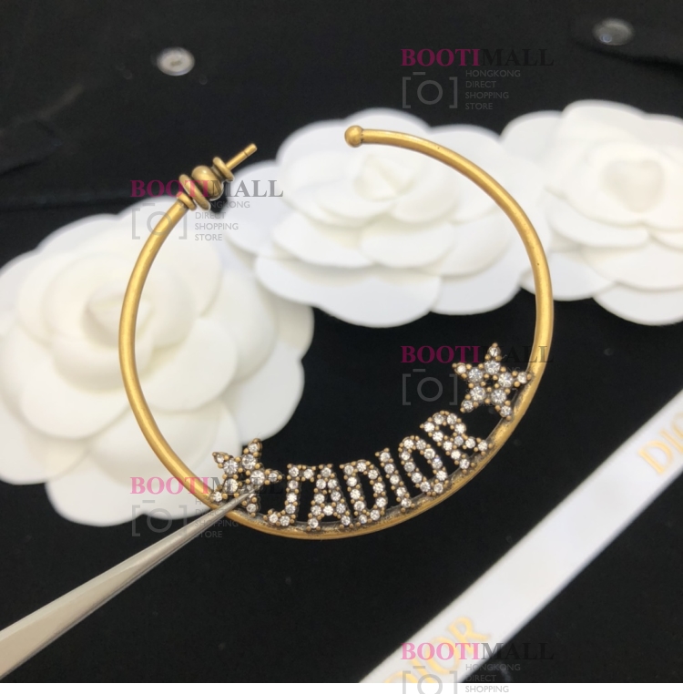 DIOR 디올 2021 LADY 귀걸이 4