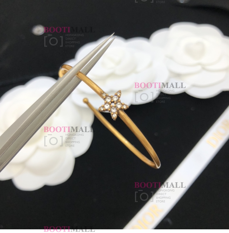 DIOR 디올 2021 LADY 귀걸이 5