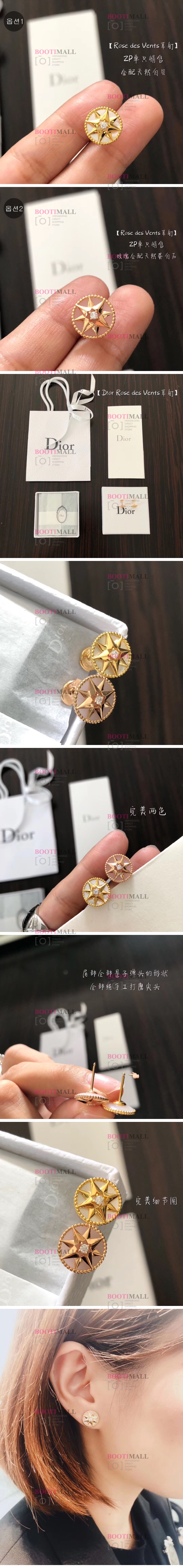 DIOR 디올 2021 귀걸이 (2색) 1