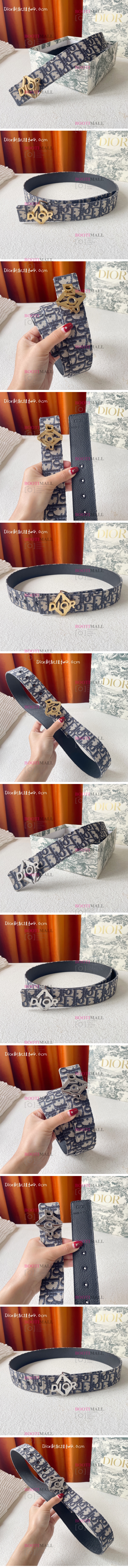 DIOR 디올 2023 벨트 폭 4cm (금장,은장) 1