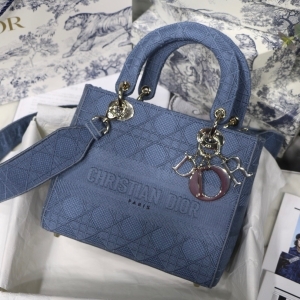 DIOR 디올 2023 자수 레이디 D-LITE 미듐 24CM