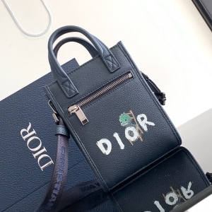 Dior 디올 2024 사파리 노스사우스 미니 토트백 19CM