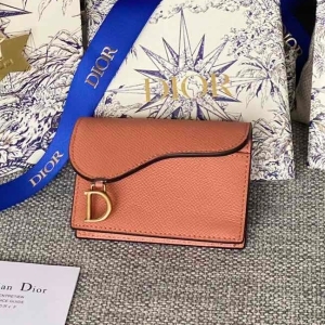 Dior 디올 2023 새들 파우치 24cm 1