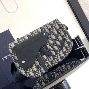 Dior 디올 2023 새들 파우치 24CM