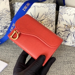 Dior 디올 2023 새들 파우치 24cm (2색) (12월) 1