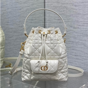 Dior 디올 2025 Caro 스몰 버킷백 24CM