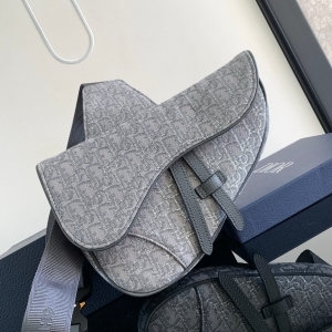 Dior 디올 2025 오블리크 새들백 26CM