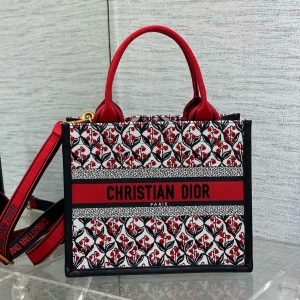 Dior 디올 2024 자수 북 토트백 / 36CM