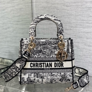 Dior 디올 2024 자수 레이디 D-LITE 미듐 24CM