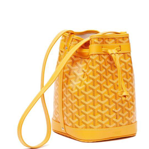 Goyard 고야드 2021 쁘띠플로 버킷백 15CM