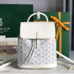 Goyard 고야드 2023 알핀 백팩 21.5CM