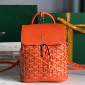 Goyard 고야드 2023 알핀 백팩 21.5CM