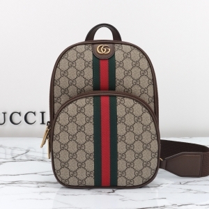 Gucci 구찌 2024 오피디아 크로스백 26CM