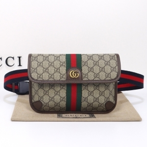 Gucci 구찌 2024 오피디아 GG 벨트백 23.9CM