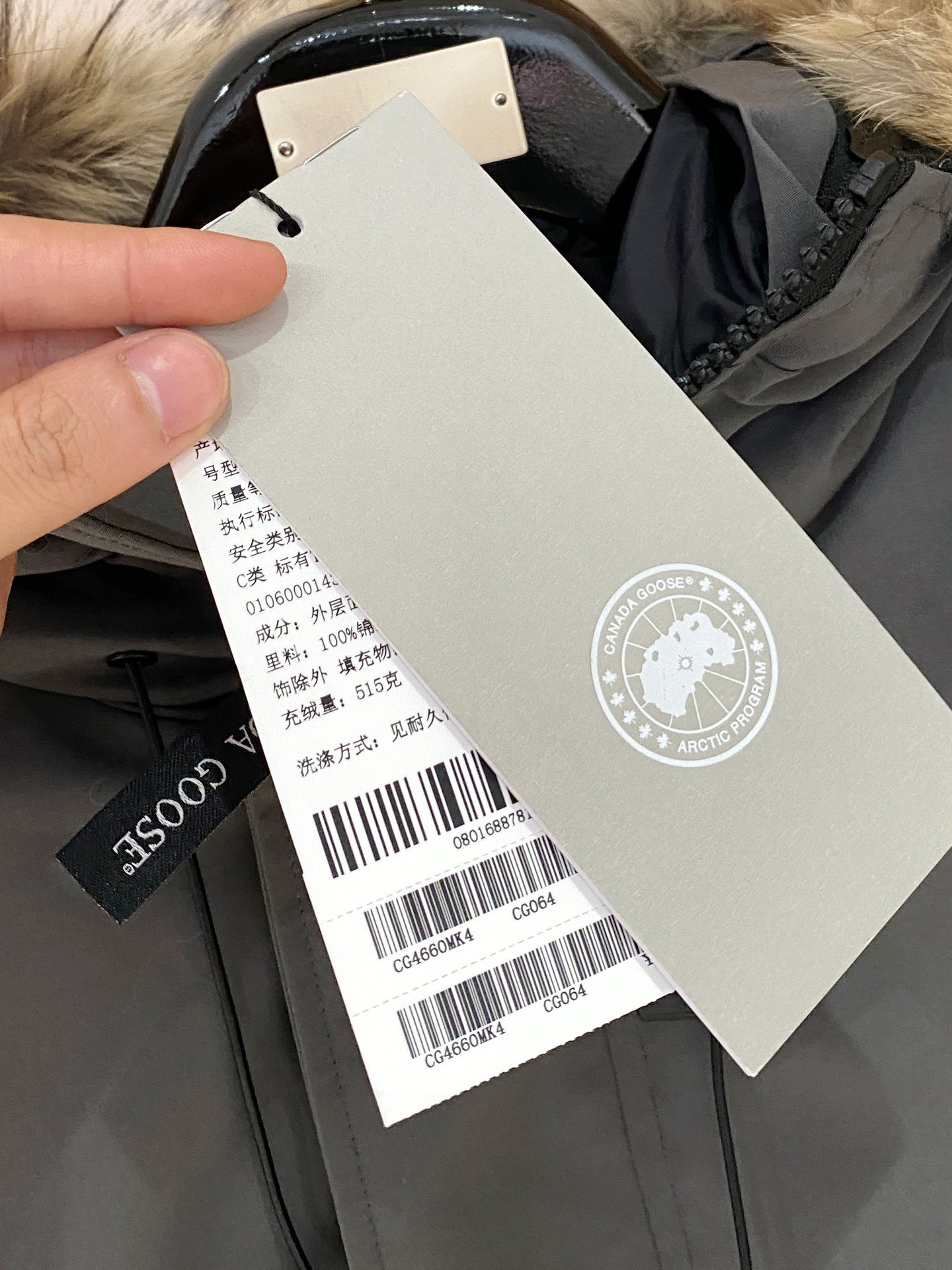 CANADA GOOSE 캐나다구스 FW2025 한정판 숏 다운 재킷 3