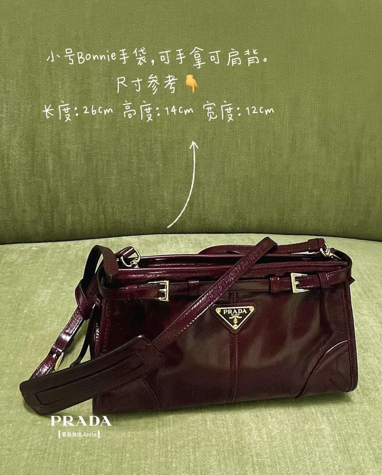 PRADA 프라다 FW2023 유광 가죽 숄더백 3