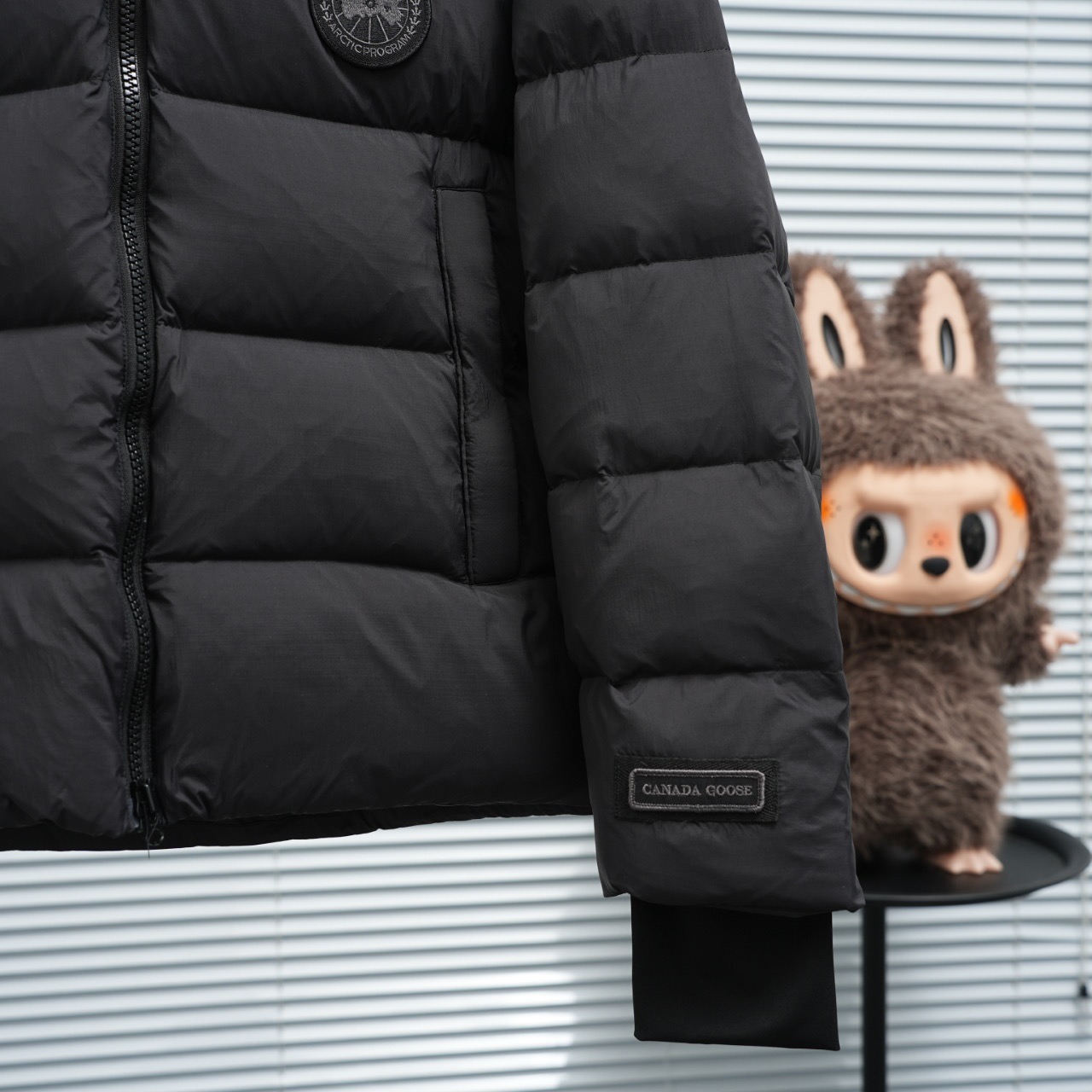 CANADAGOOSE 캐나다구스 FW2023 후드 일체형 다운 재킷 5