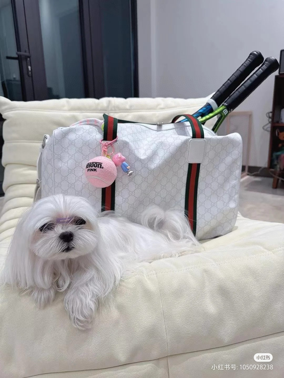 Gucci 구찌 GG 대형 화이트 여행가방 7