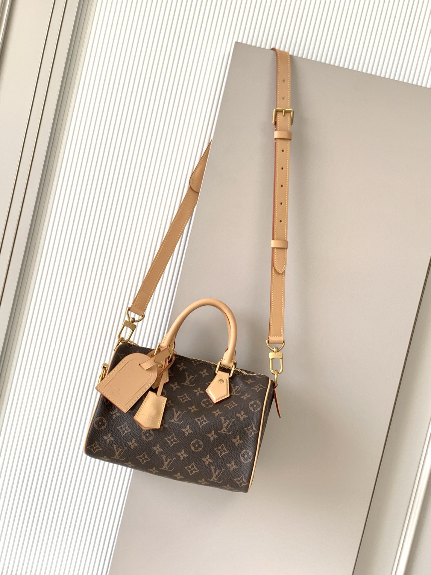 Louis Vuitton 루이비통 Speedy Bandoulière 25 토트백 M24443 1