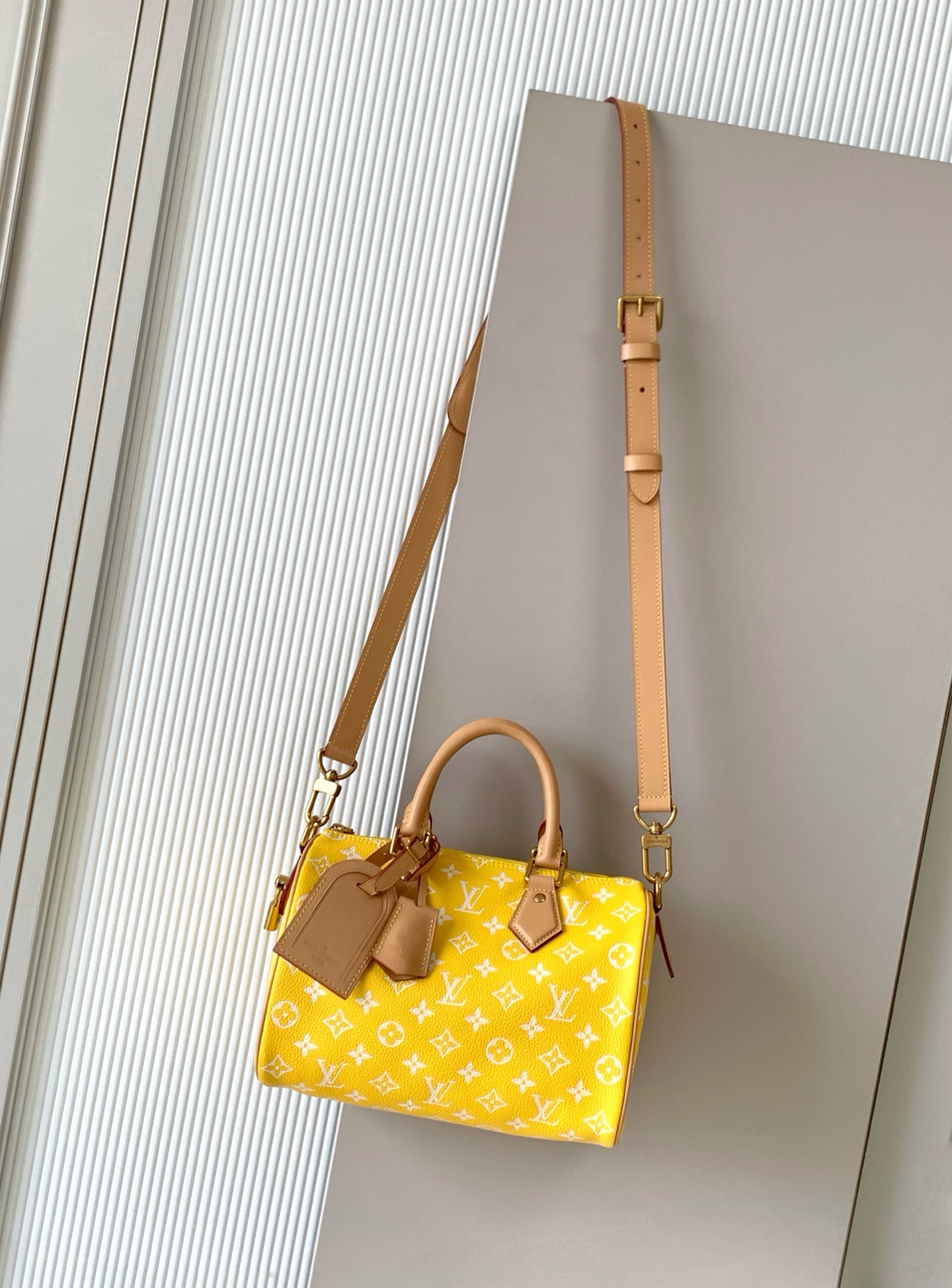 Louis Vuitton 루이비통 Speedy Bandoulière 25 토트백 M24443 1