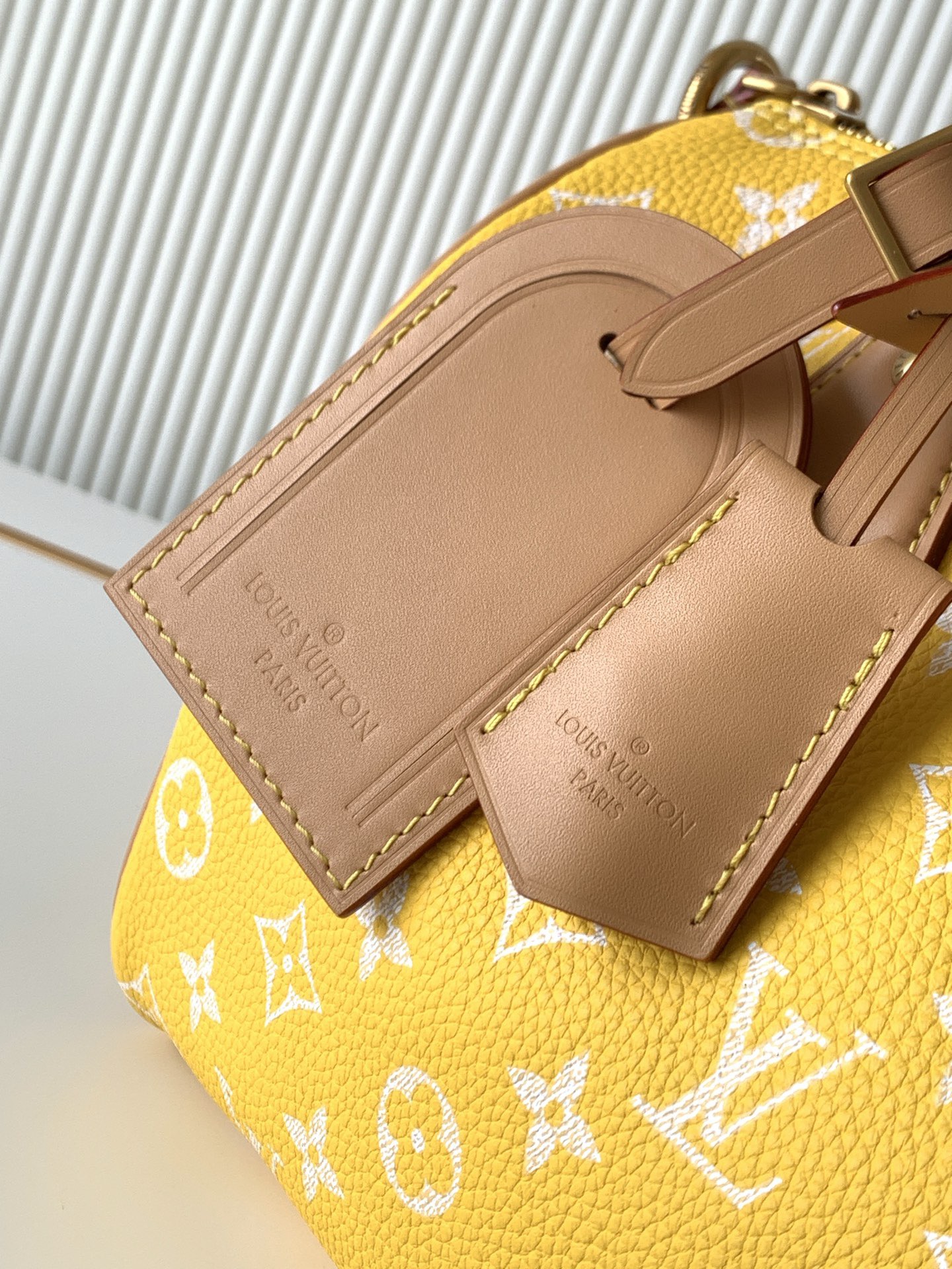 Louis Vuitton 루이비통 Speedy Bandoulière 25 토트백 M24443 6