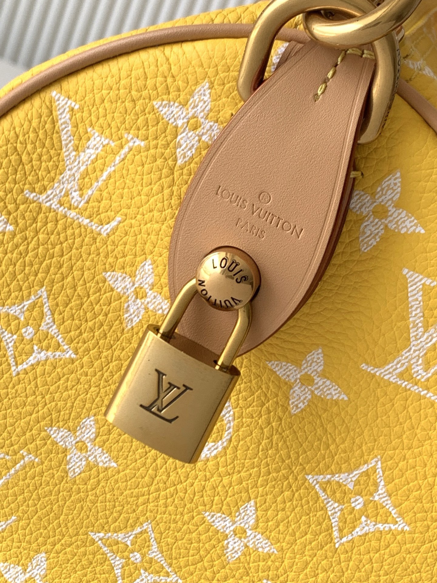 Louis Vuitton 루이비통 Speedy Bandoulière 25 토트백 M24443 7