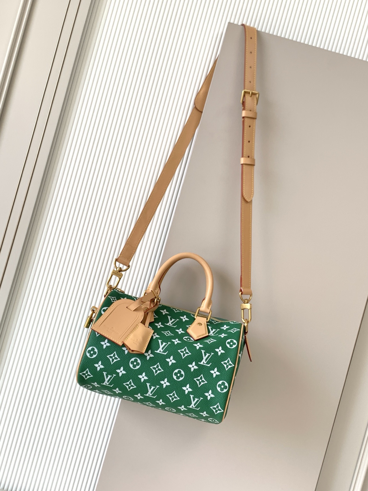 Louis Vuitton 루이비통 Speedy Bandoulière 25 토트백 M24443 1