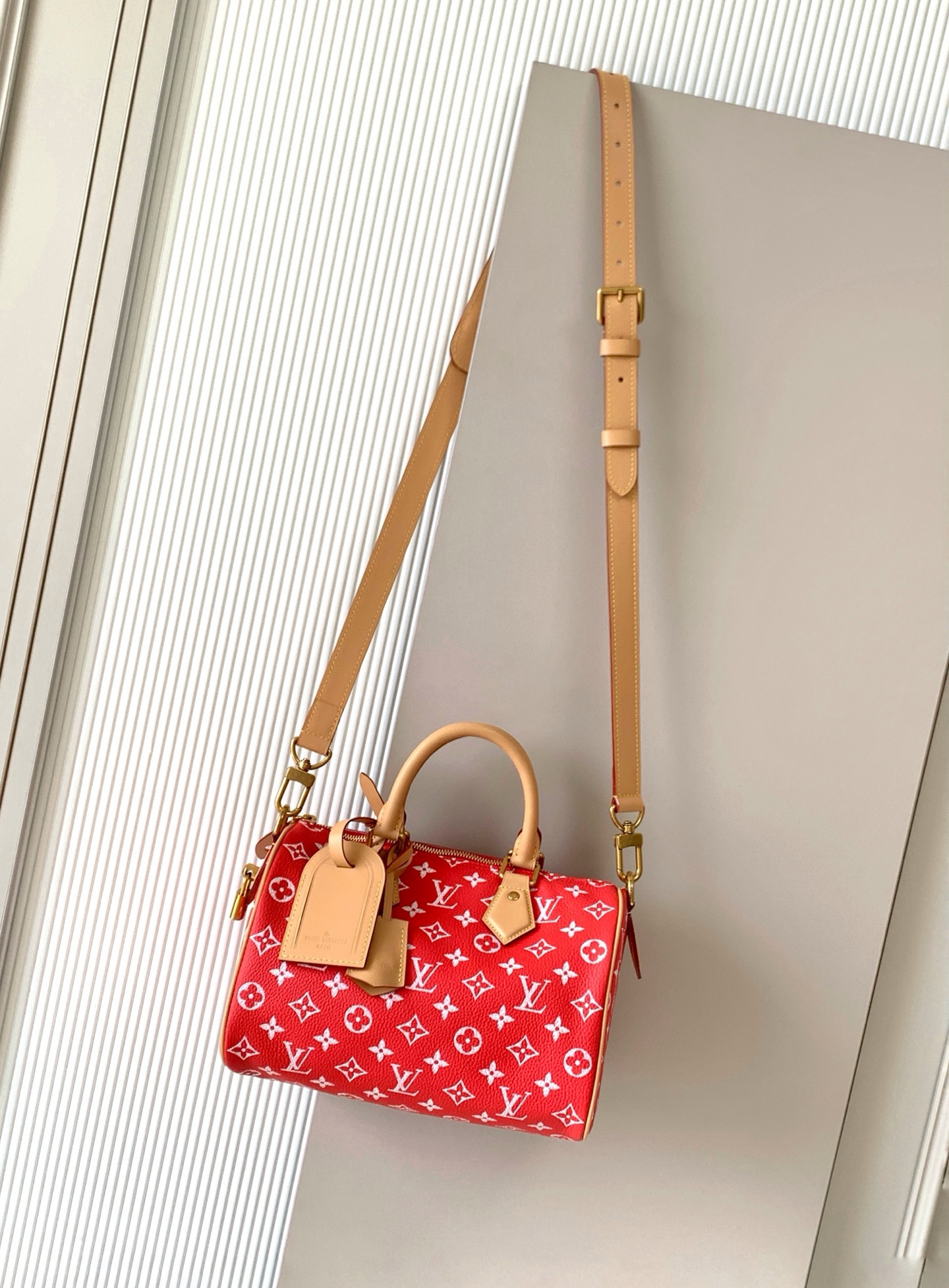 Louis Vuitton 루이비통 Speedy Bandoulière 25 토트백 M24443 1