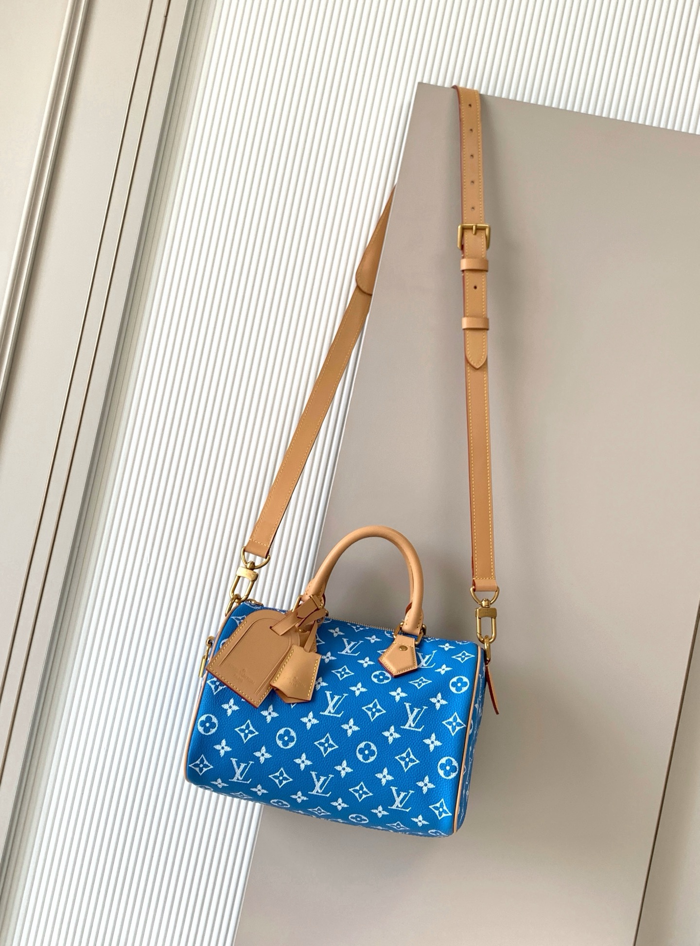 Louis Vuitton 루이비통 Speedy Bandoulière 25 토트백 M24443 1