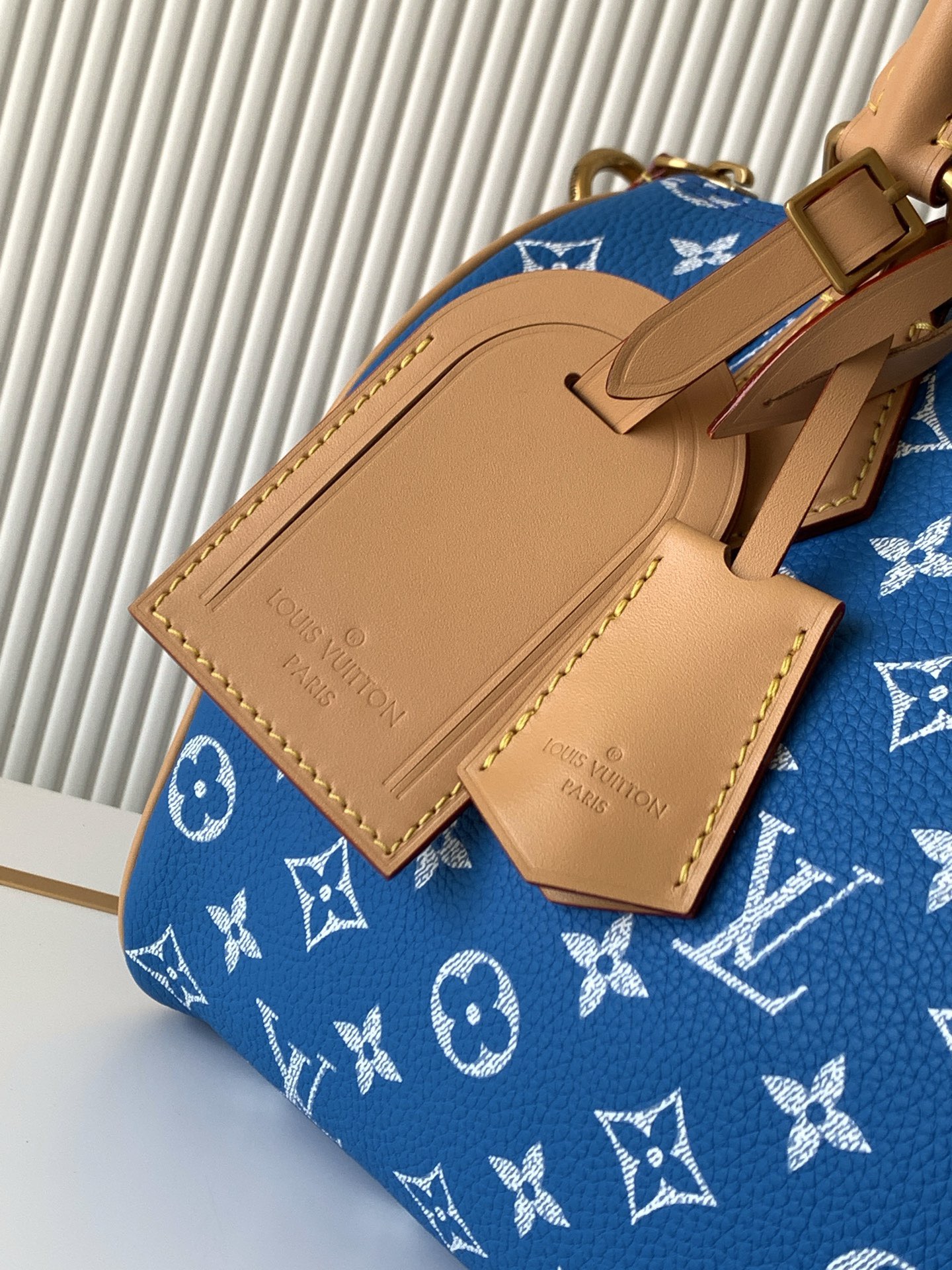 Louis Vuitton 루이비통 Speedy Bandoulière 25 토트백 M24443 6