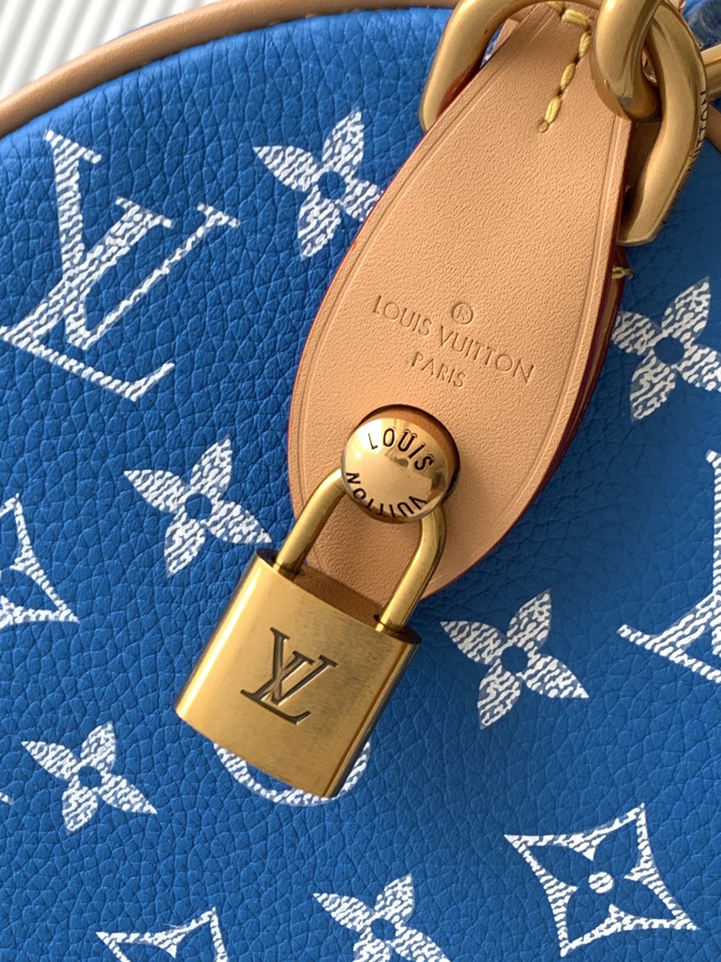 Louis Vuitton 루이비통 Speedy Bandoulière 25 토트백 M24443 7
